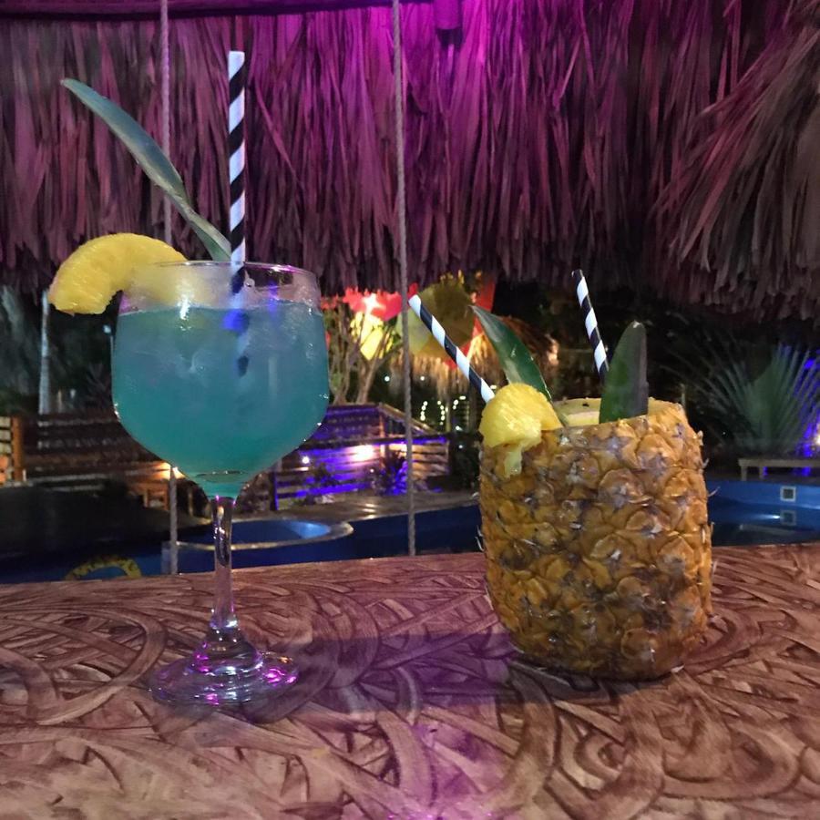 El Zoo Hostel, Bar & Pool Паломіно Екстер'єр фото